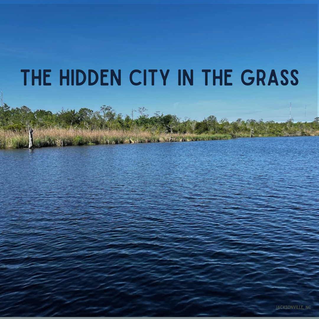The Hidden City in the Grass
