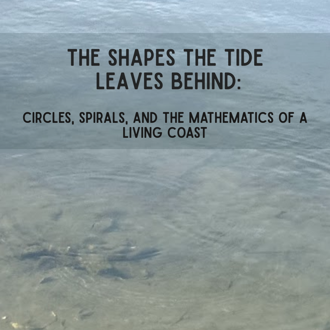 The Shapes the Tide Leaves Behind: Circles, Spirals, and the Mathematics of a Living Coast