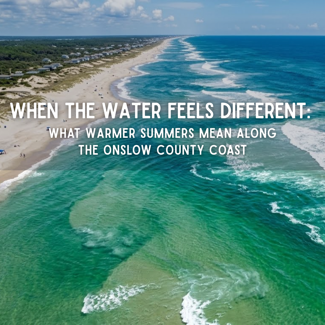 When the Water Feels Different: What Warmer Summers Mean Along the Onslow County Coast When the Water Feels Different: What Warmer Summers Mean Along the Onslow County Coast