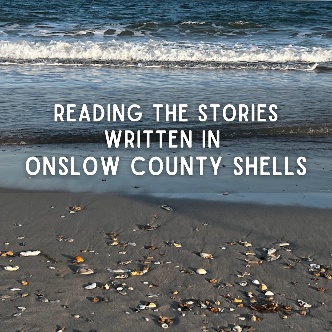 Reading the Stories Written in Onslow County Shells Reading the Stories Written in Onslow County Shells