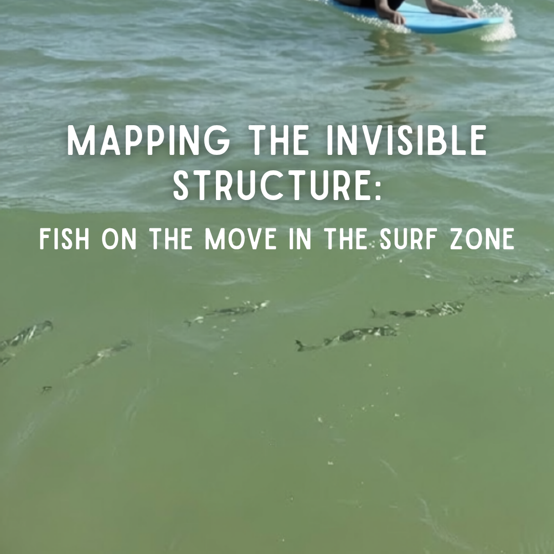 Mapping the Invisible Structure: Fish on the Move in the Surf Zone